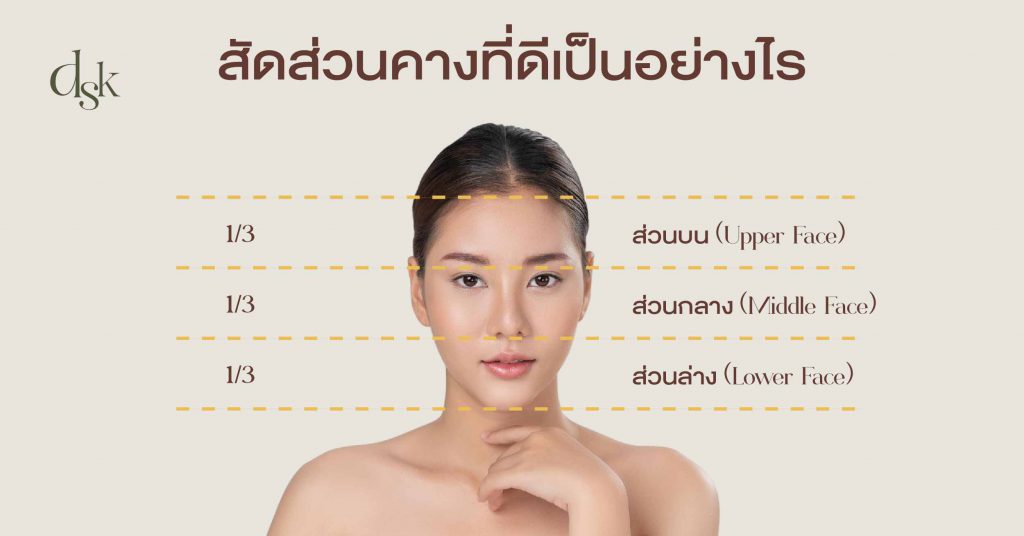  สัดส่วนคางที่ดีเป็นอย่างไร