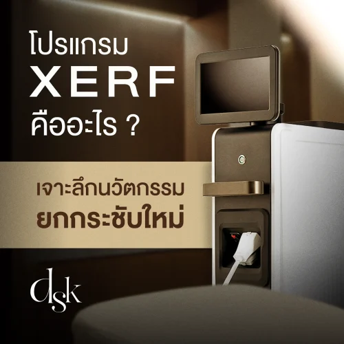 โปรแกรม XERF คืออะไร? เจาะลึกนวัตกรรมยกกระชับใหม่