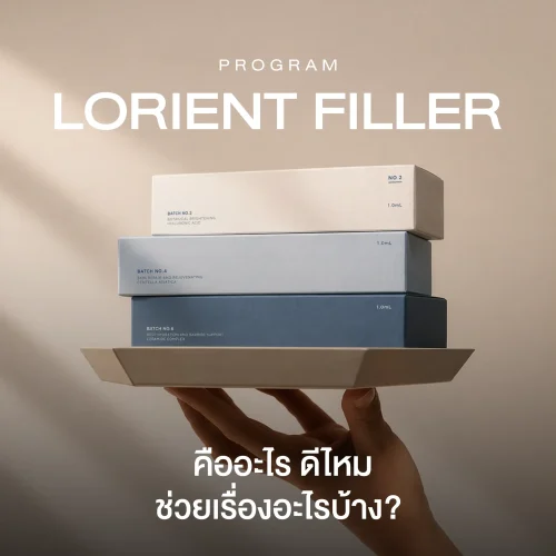 โปรแกรม Lorient Filler คืออะไร ดีไหม ช่วยเรื่องอะไรบ้าง? 