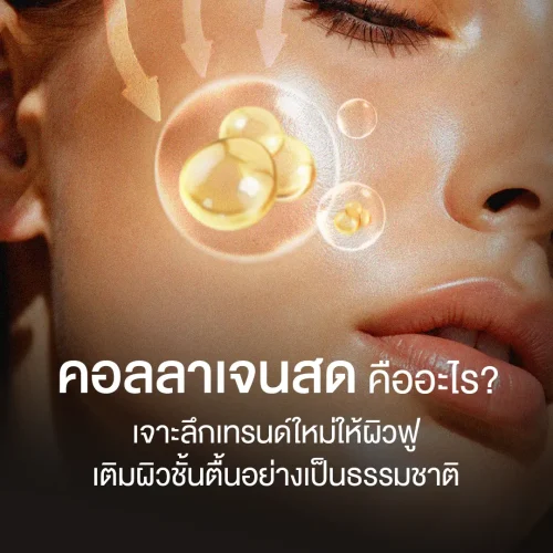 คอลลาเจนสด คืออะไร? เจาะลึกเทรนด์ใหม่ให้ผิวฟู เติมผิวชั้นตื้นอย่างเป็นธรรมชาติ